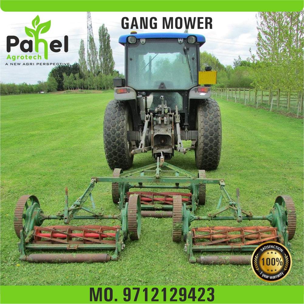 Pahel Tractor Driven Gang Mower