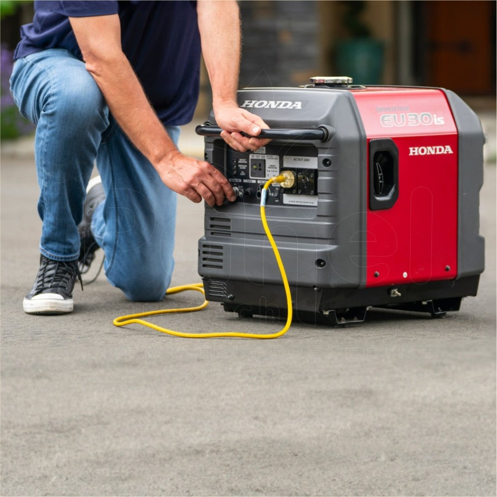 Inverter Series Generator EU30is