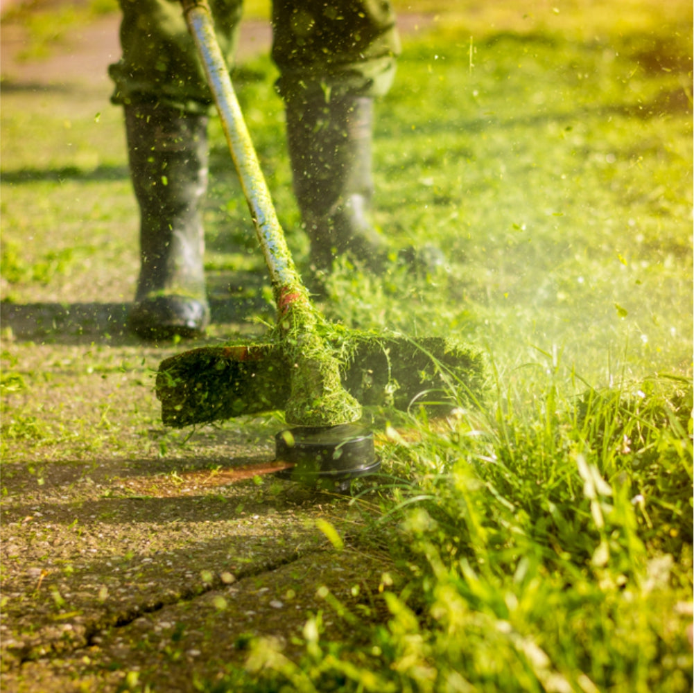 Pahel Electric Brush Cutter 2200 WATT