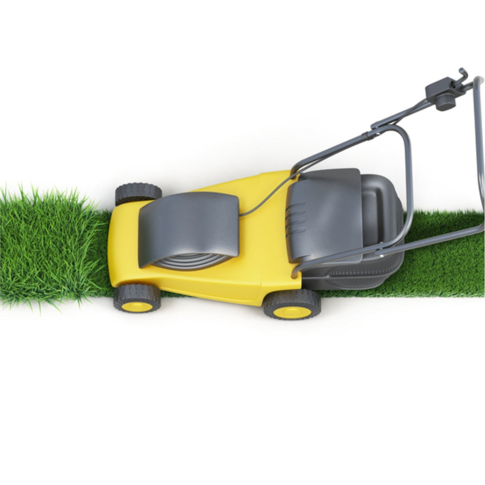 Pahel 1600W Electric Lawn Mower with 16" Cutting Width- Steel DECK