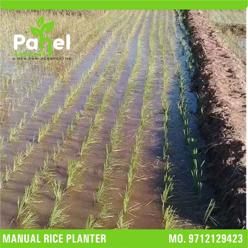 Pahel Manual Rice Planter