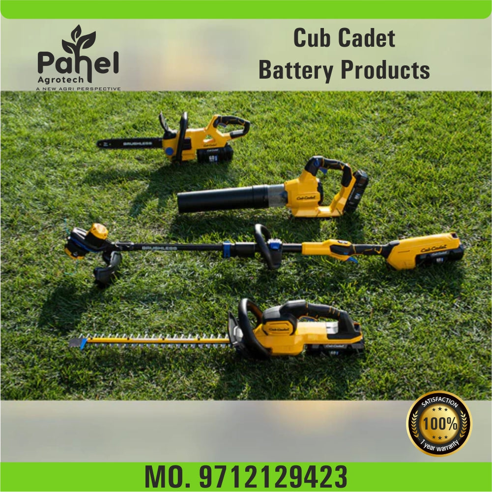 Cub Cadet Battery Chain saw LH5 C60