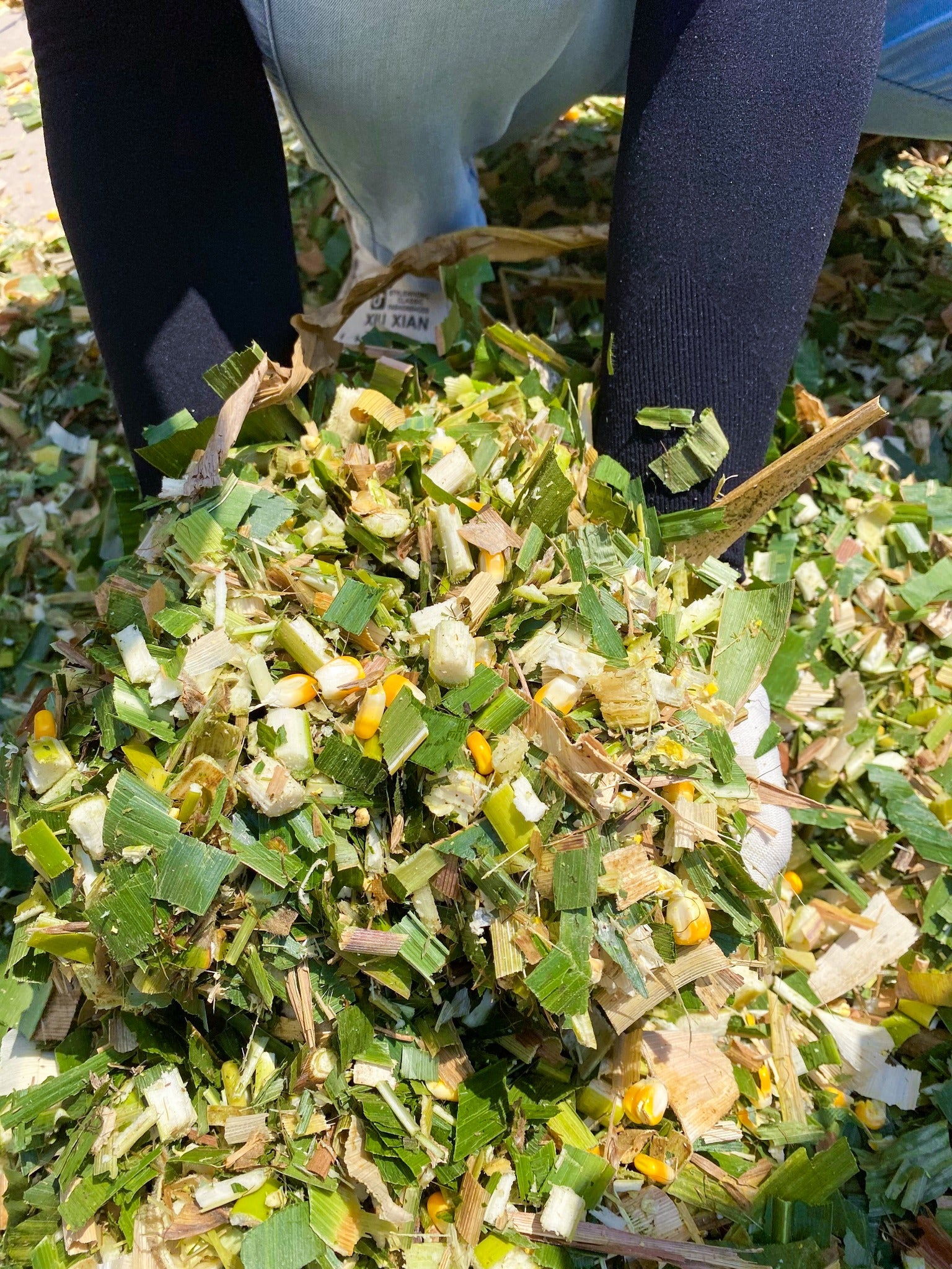 Pahel Horizontal Chaff Cutter with 3 HP Motor/ 7 Hp Petrol Engine