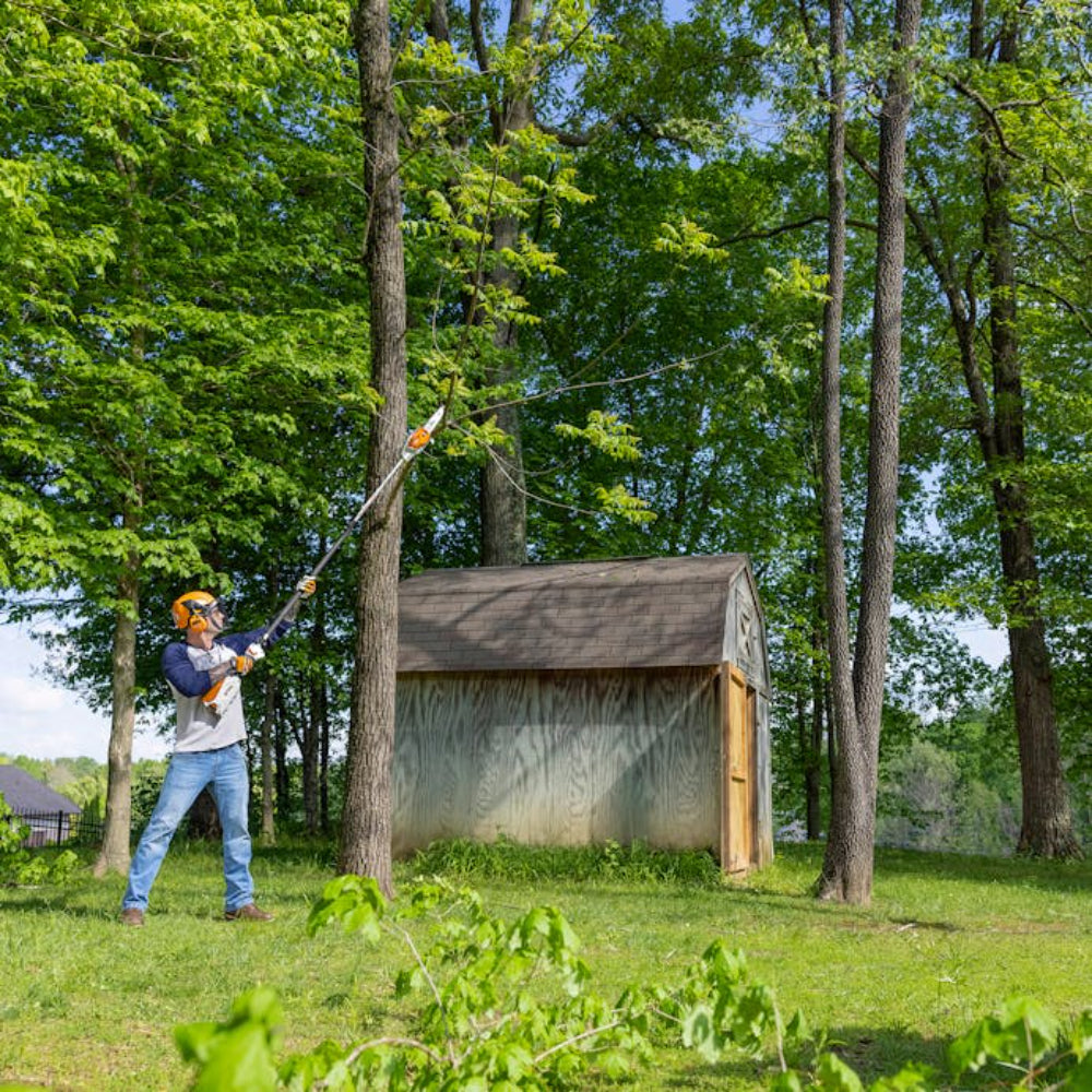 STIHL  HTA 66 Battery Type Pole pruner with AP 300 battery and AL 300 charger