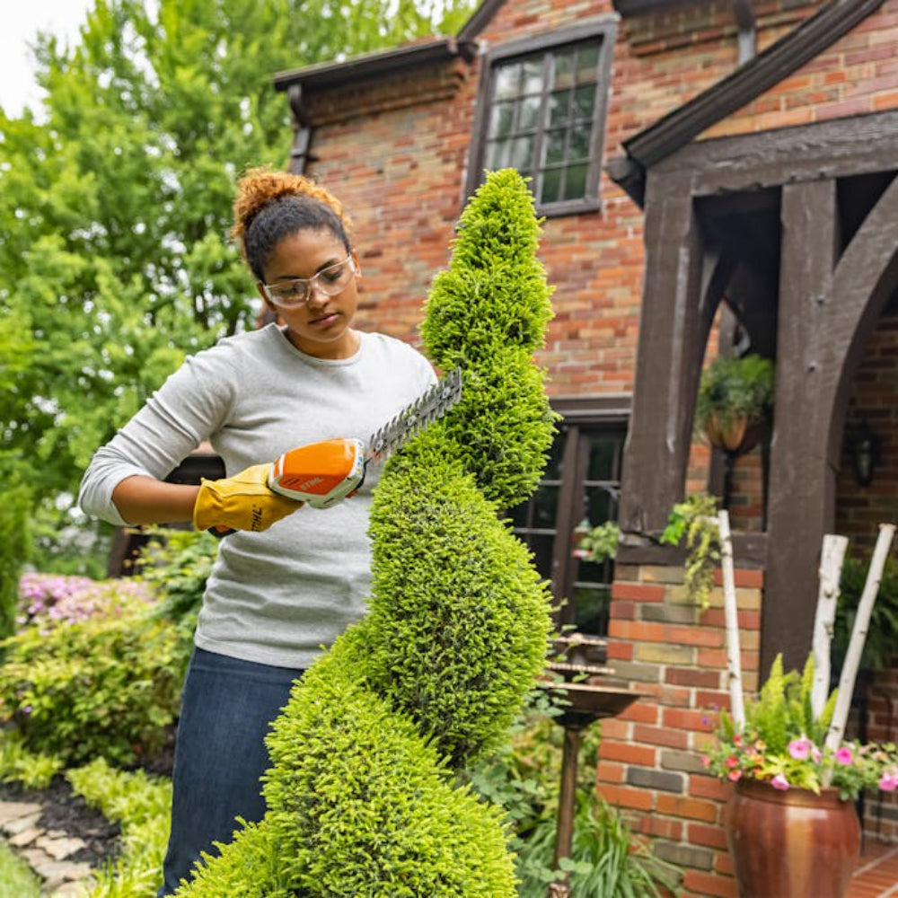 STIHL HSA 26 Hand Held Pruner set with battery and charger
