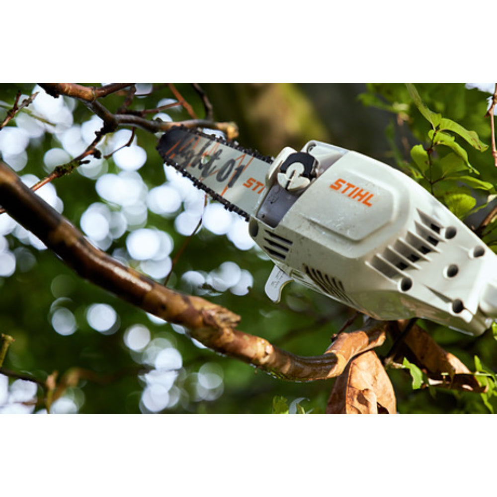 STIHL HTA 86 Battery Type Pole pruner with AP 300 battery and AL 300 charger