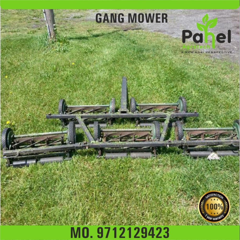 Pahel Tractor Driven Gang Mower
