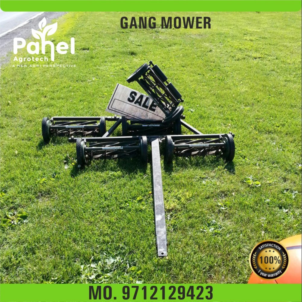 Pahel Tractor Driven Gang Mower