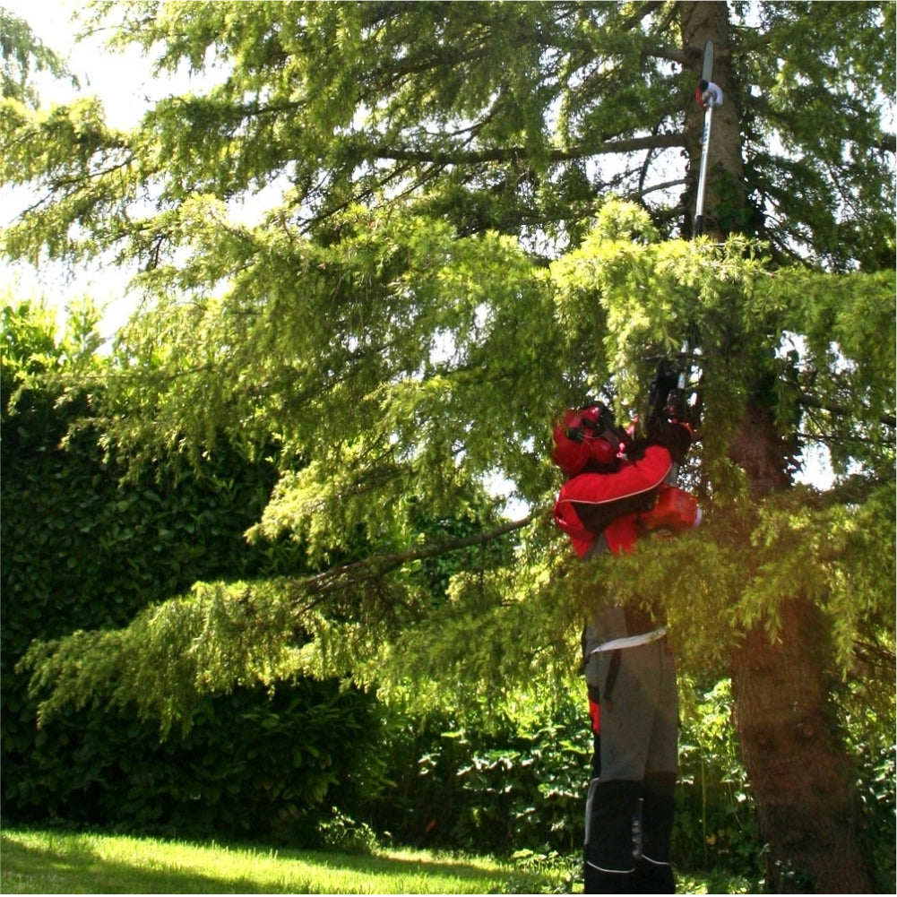 Telescopic Petrol 52 CC Pole Pruner 5 Meter length With 12 Inch Chainsaw